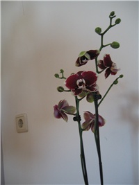 33d133a4-Picture 040.jpg